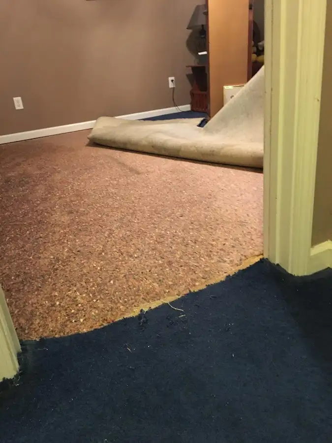 Carpet pad removal revealing water damage during Drying & Dehumidification in Richmond Heights